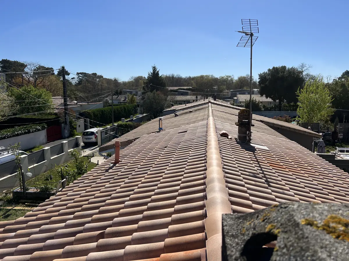 Faîtage d'une toiture en tuiles envahie de mousse