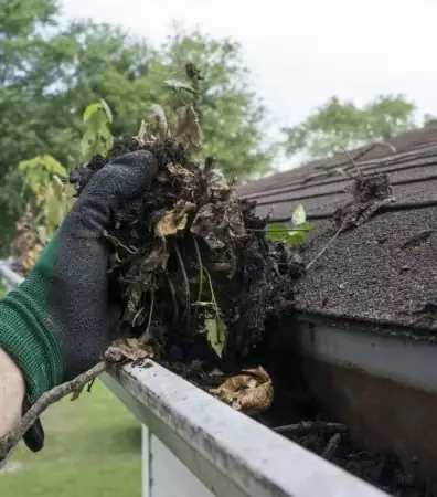 Nettoyage d'une gouttière bouchée par les feuilles