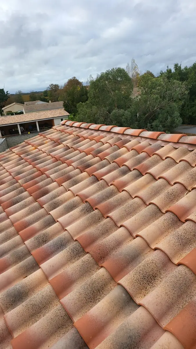 Tuiles canal rénovées